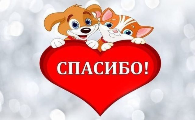 Спасибо нашим гостям!